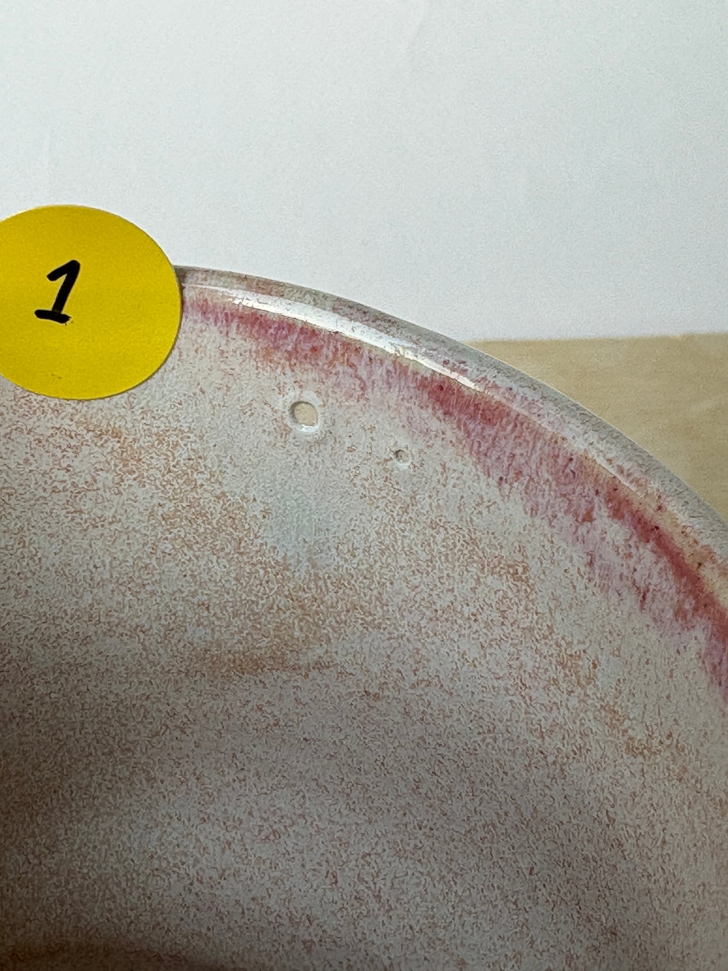 Shell Cup in Pink Moss (1)