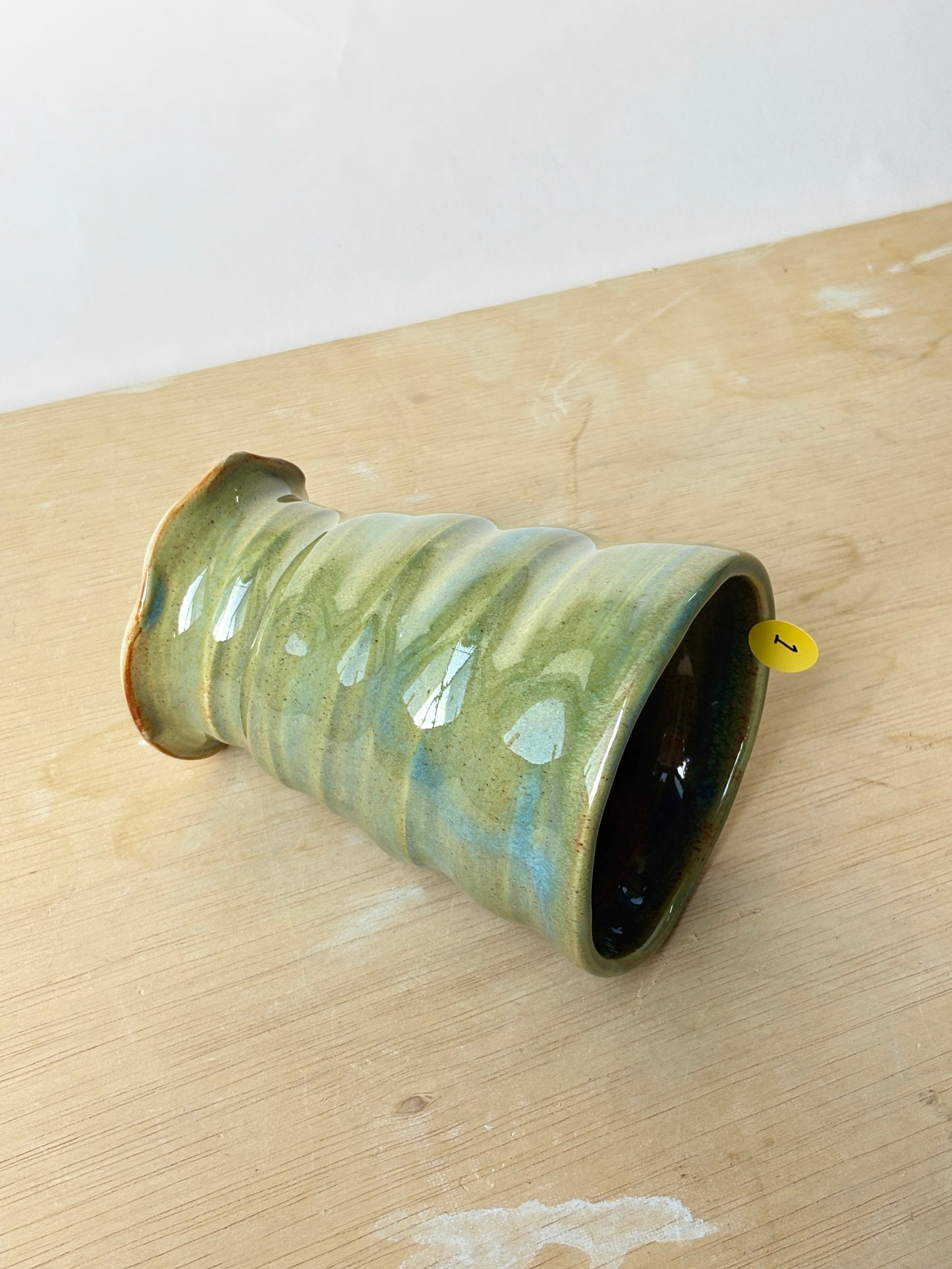 Shell Cup in Green Lake (1)