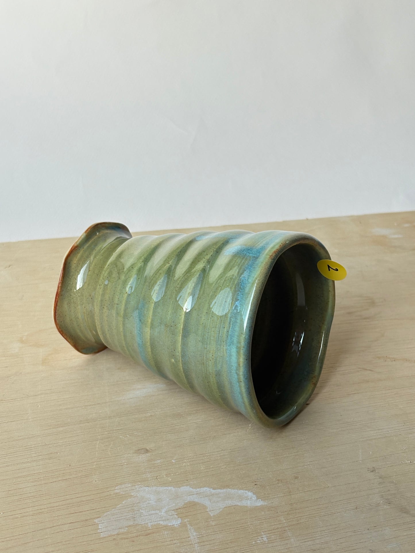 Shell cup in Green lake (2)